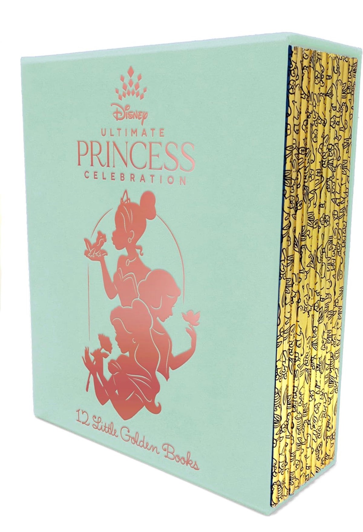 Disney Ultimate Princess Celebration – 12 Little Golden Books Box Set | Physical Edition