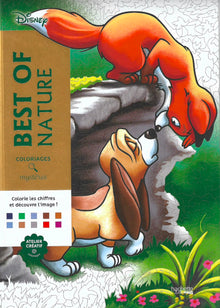 Coloriages Mystères Disney – Best of Nature | PDF Digital Coloring Book